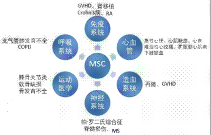 26项临床实验证明，间充质干细胞治疗膝骨关节炎有效，其疗法已经成功上市