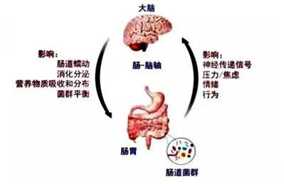 歌手李玟轻生离世……该如何走出抑郁黑洞？菌群移植或可终结重度抑郁，挽救生命！